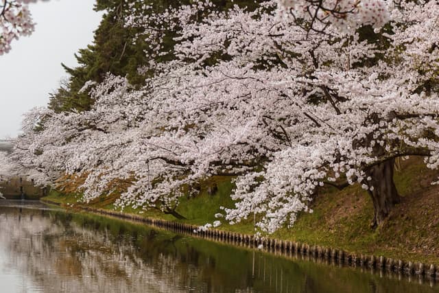 Hirosaki