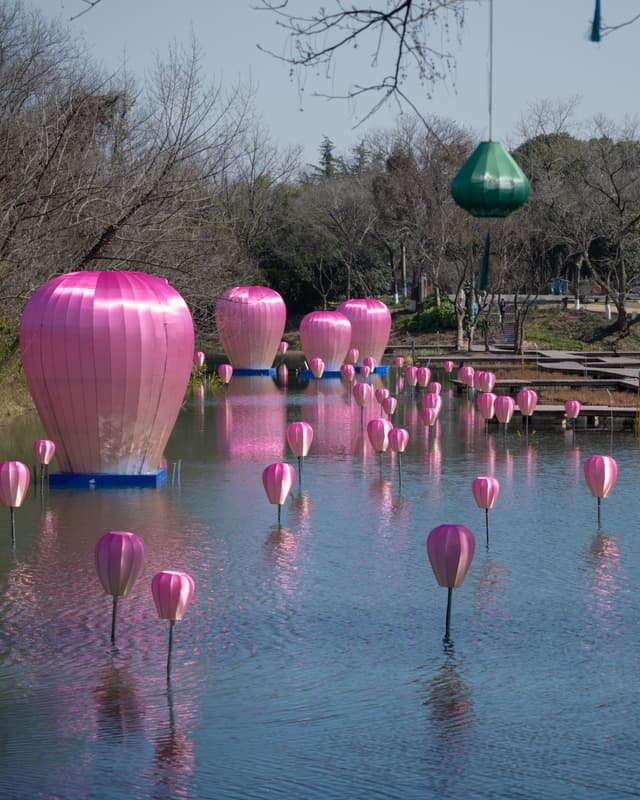 Lotus lanterns