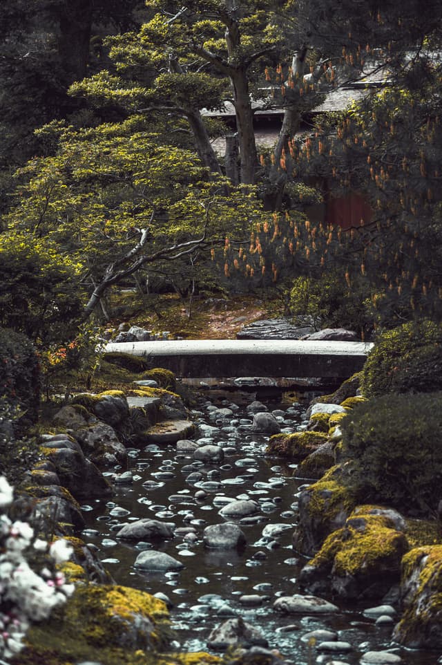 Hidden bridge