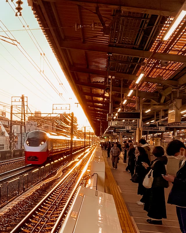 Locomotion