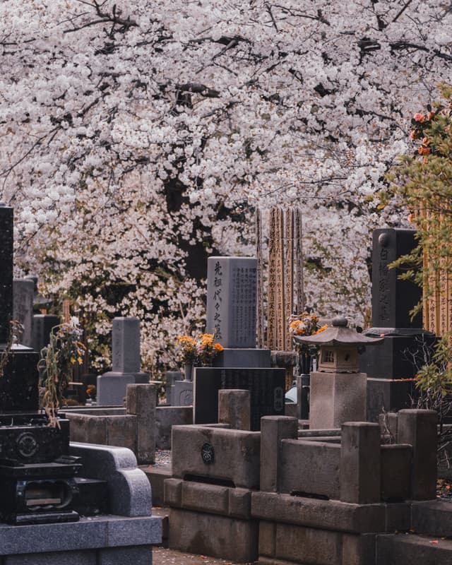 Farewell bloom