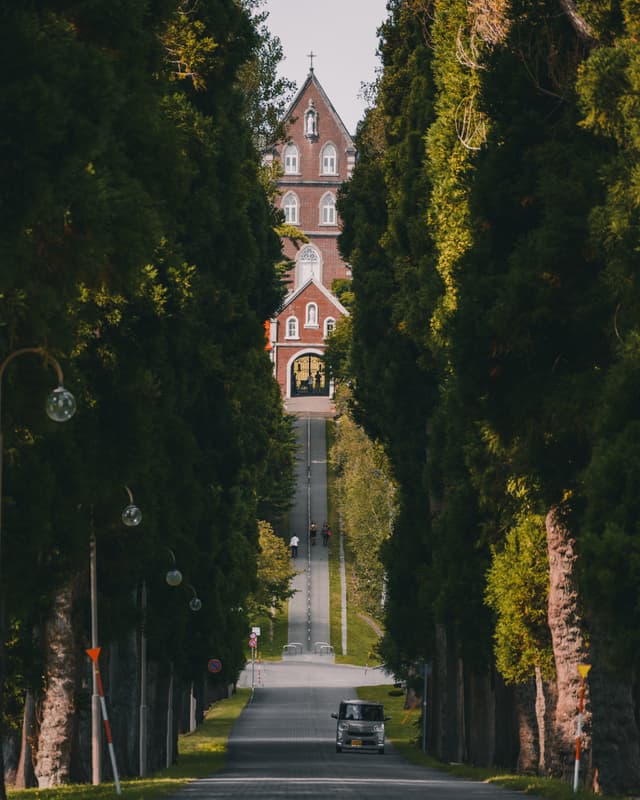 Holy Driveway