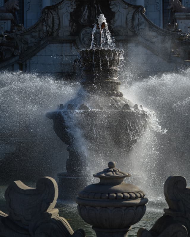 Splash!