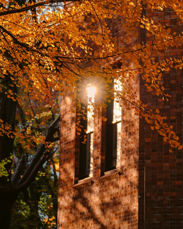 Golden embrace