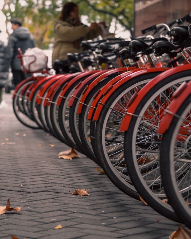 Cycle utopia