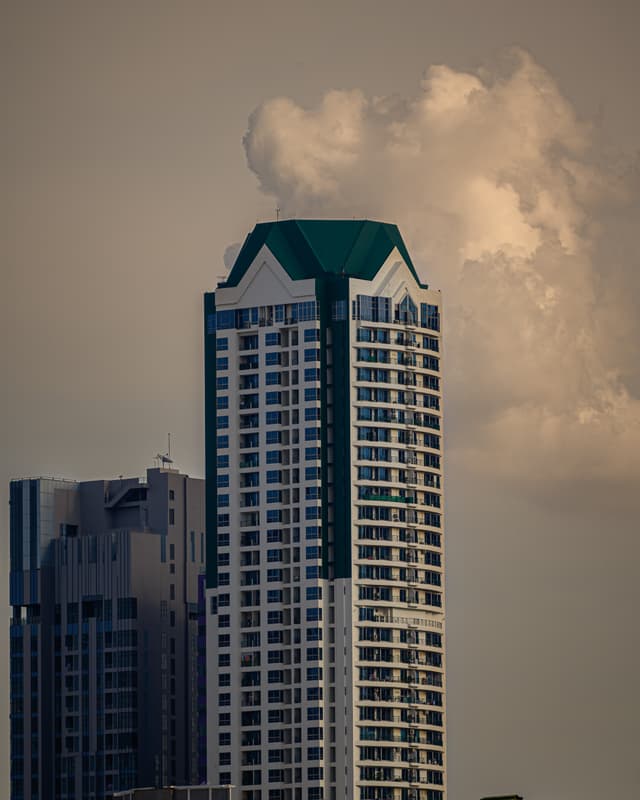 Skyline Sentinel