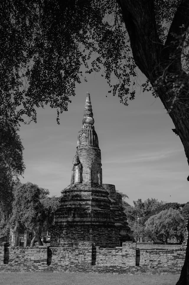 Silent Stupa