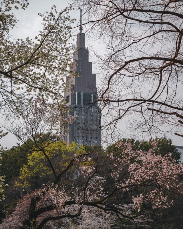 Shinjuku Gyoen