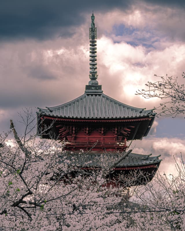 Sakura Pagoda