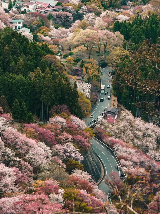 Yoshino