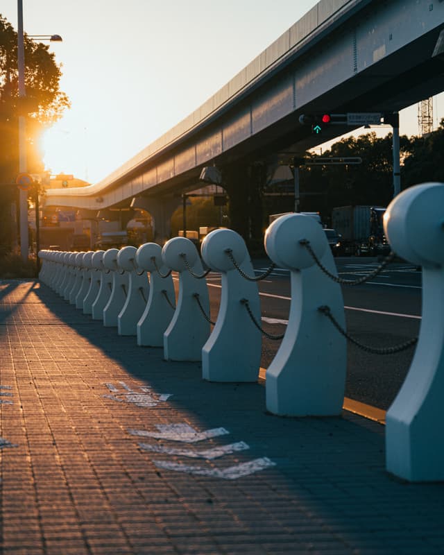 Urban sunshine