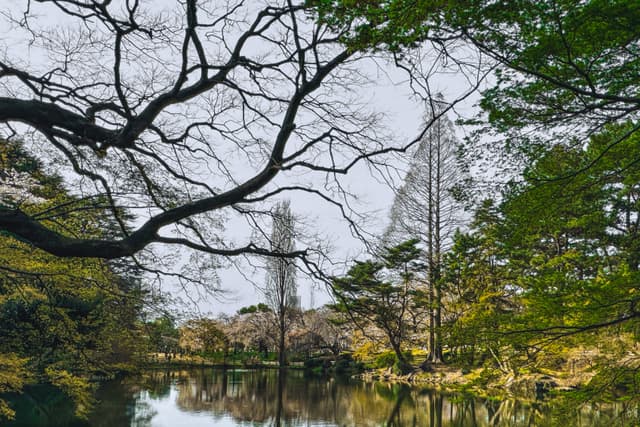 Shinjuku Gyoen