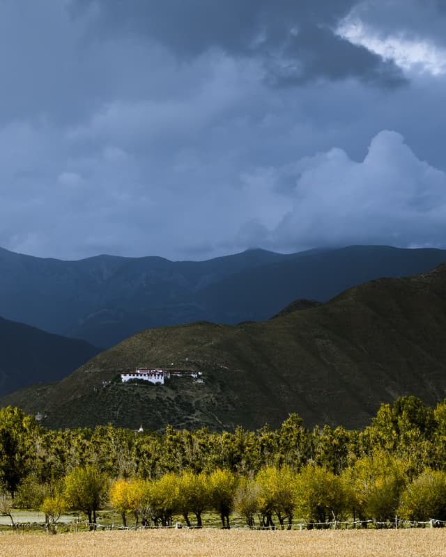 Sanctuary in the storm