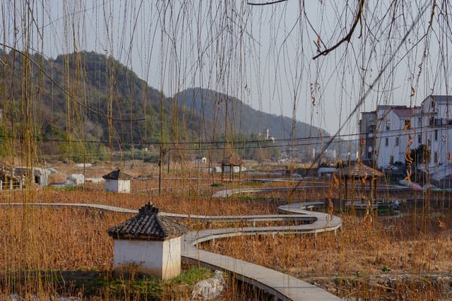 Tranquil pathways