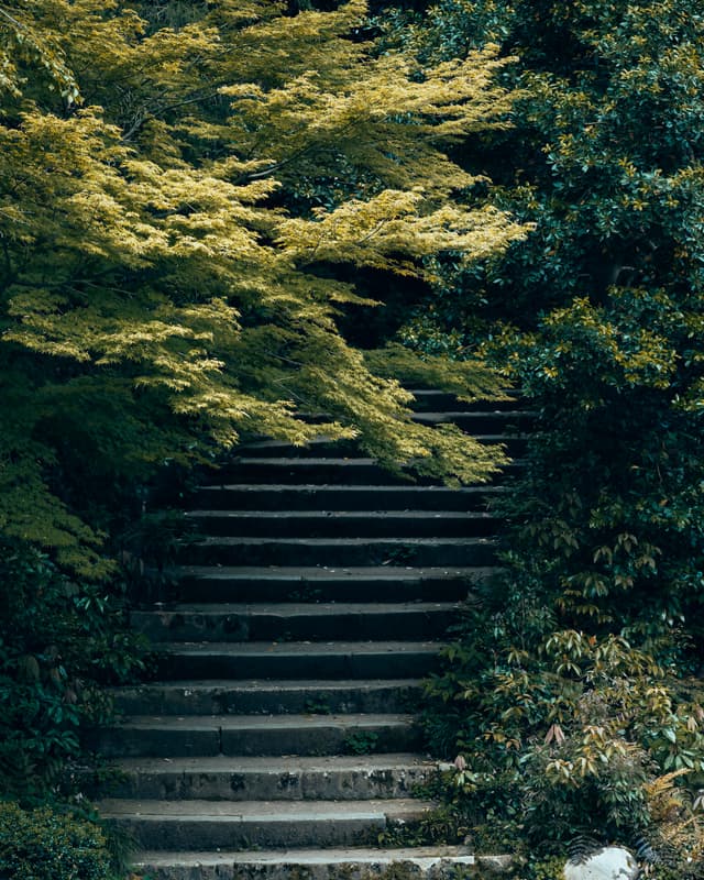 Chosen path