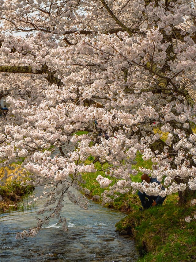 Fukushima