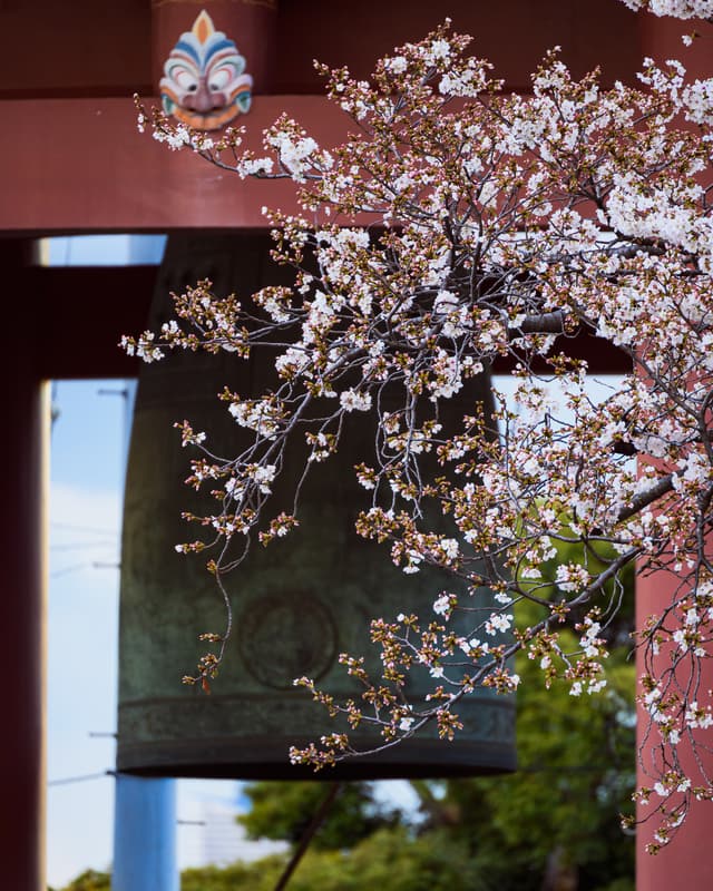 Spring bells