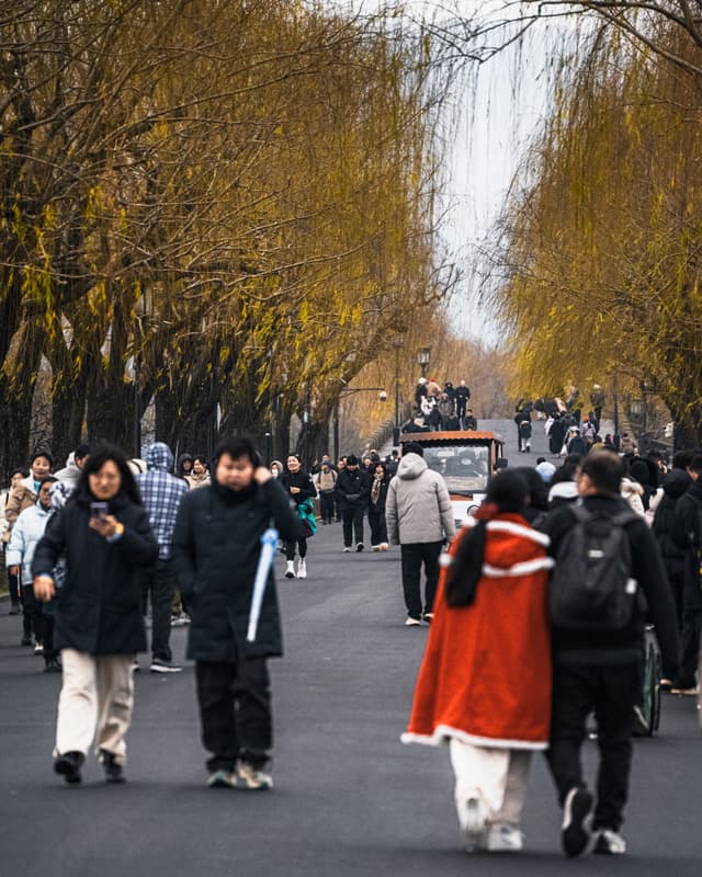 Weeping willows, happy people