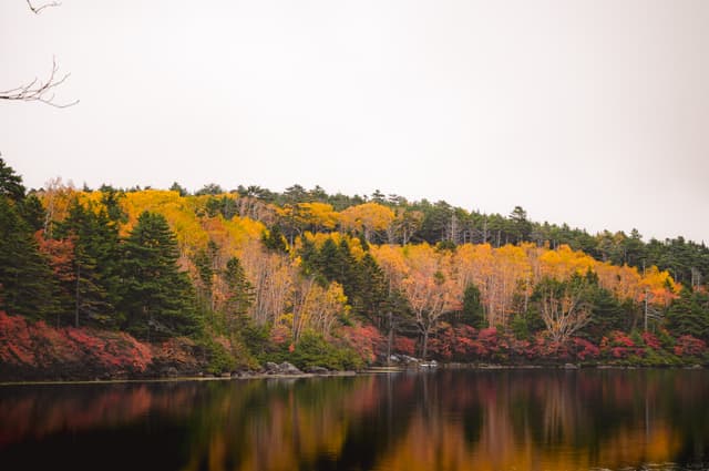 Shirakoma Reflections