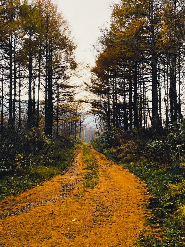 Fall paths