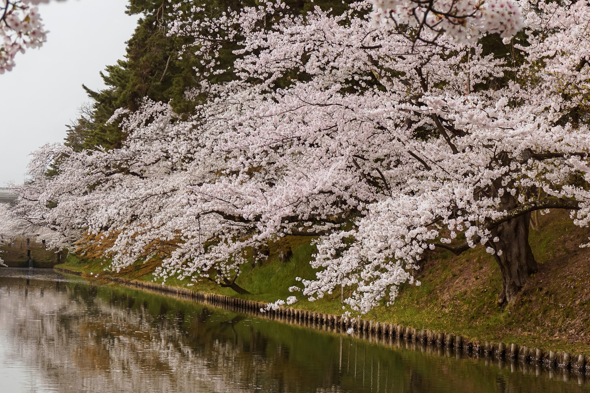 Hirosaki