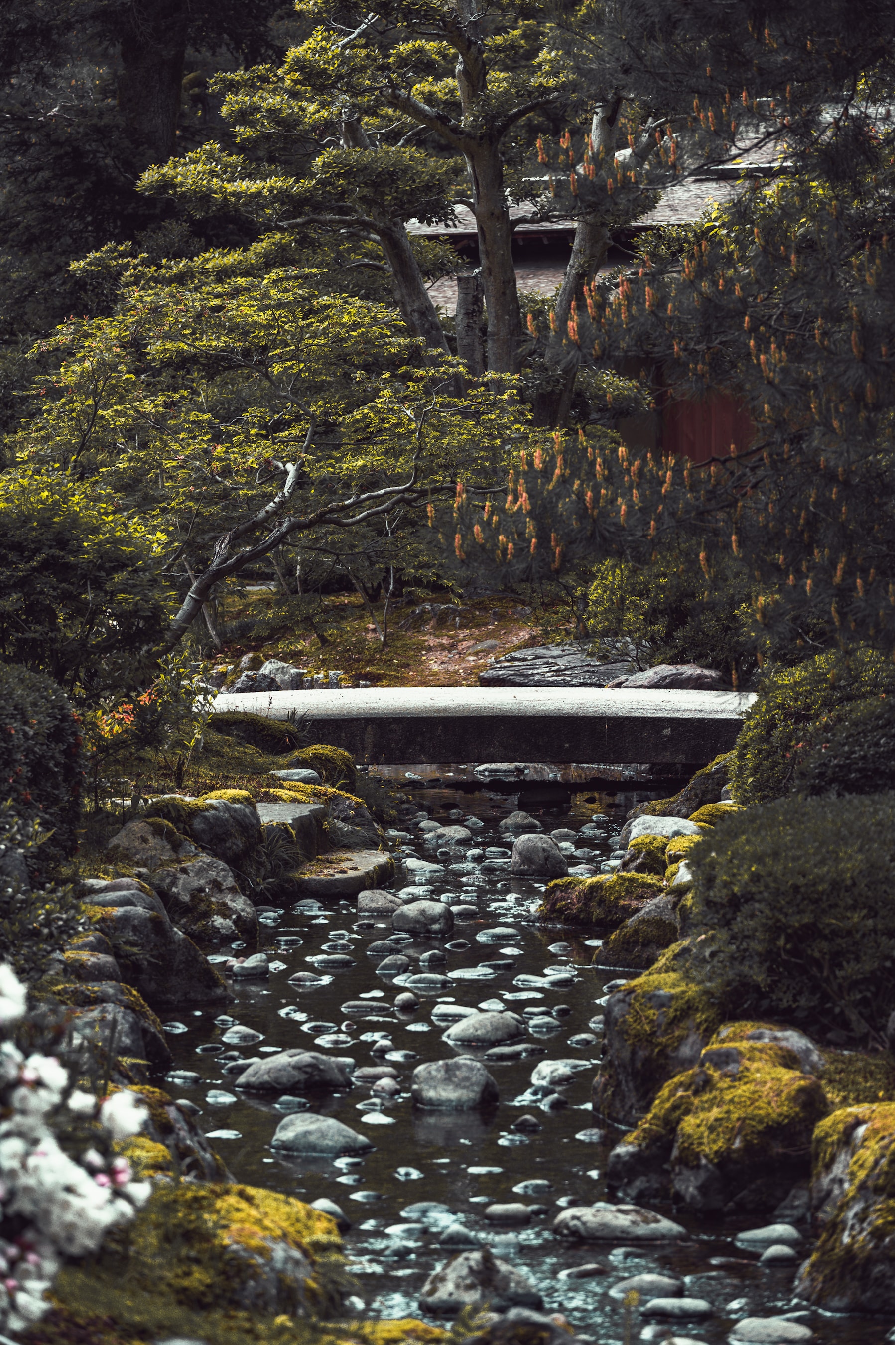 Hidden bridge