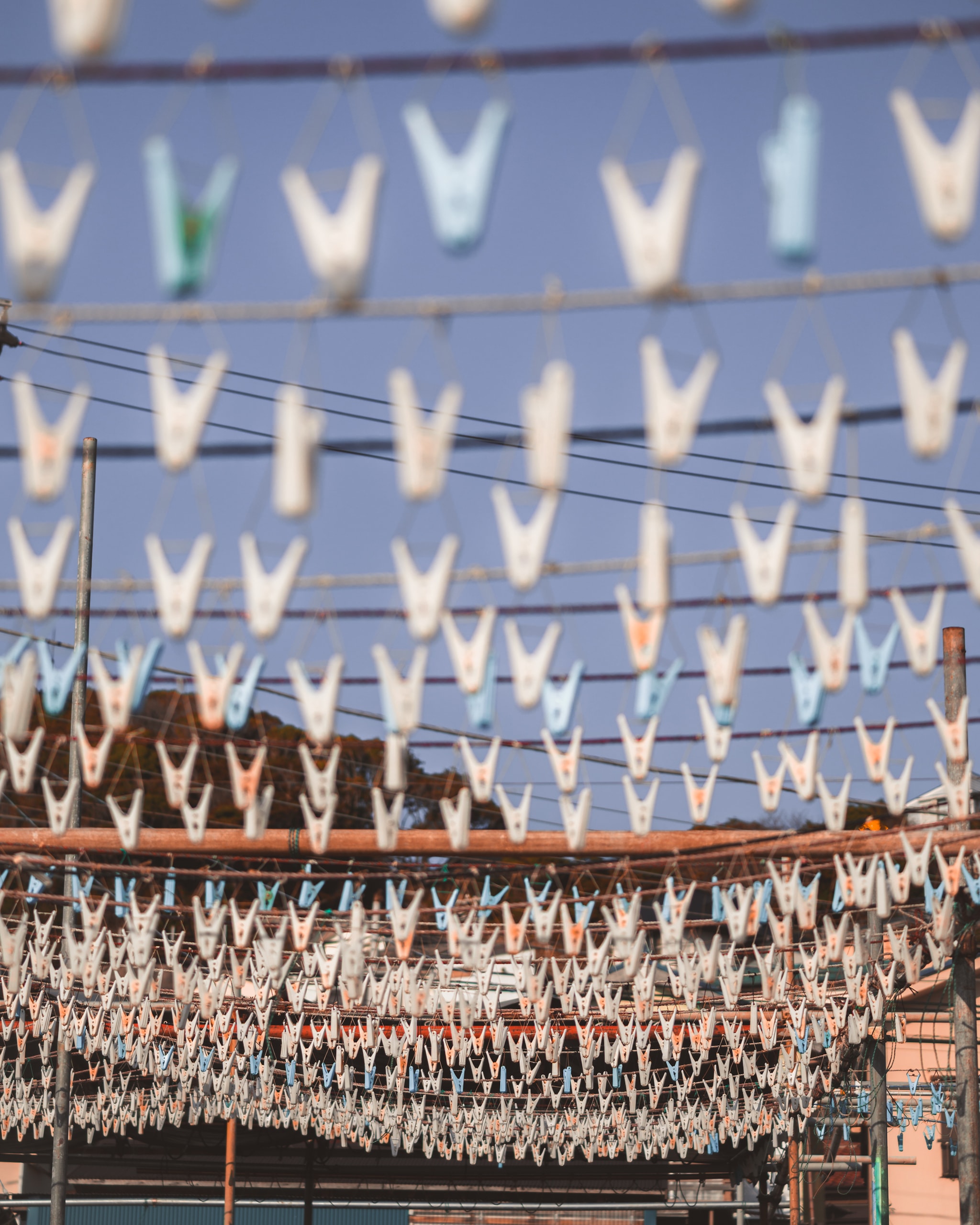 Clips and lines