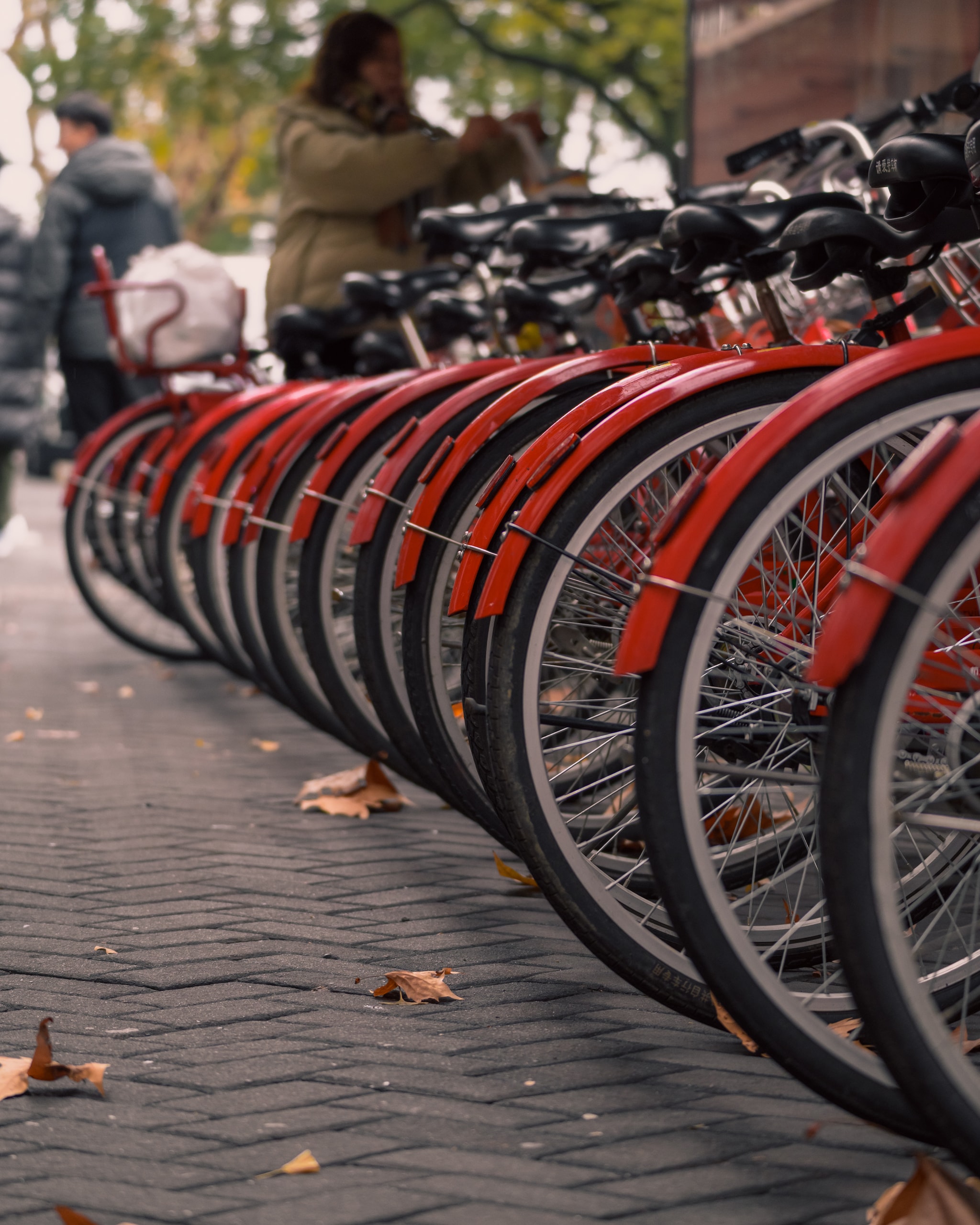 Cycle utopia