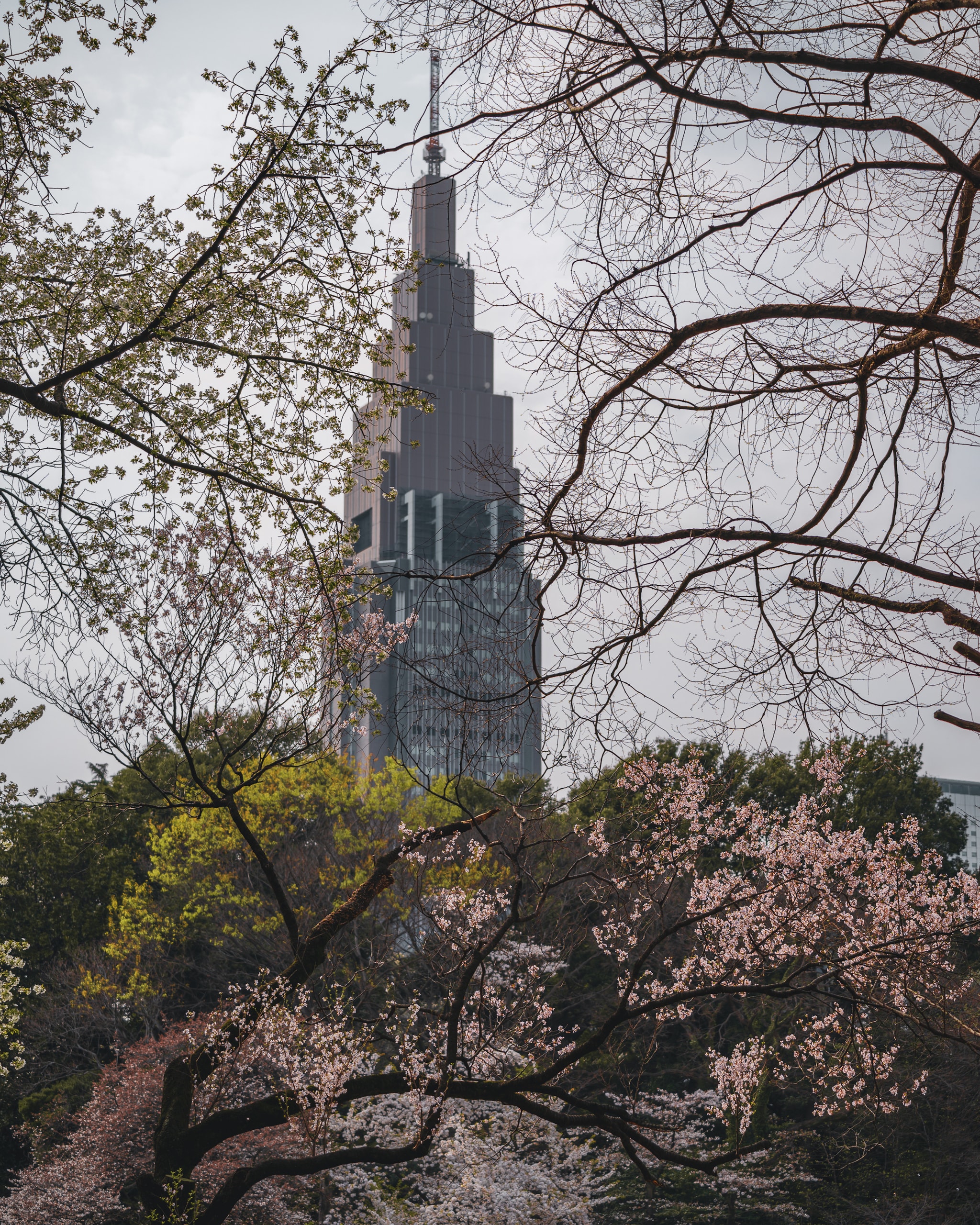 Shinjuku Gyoen