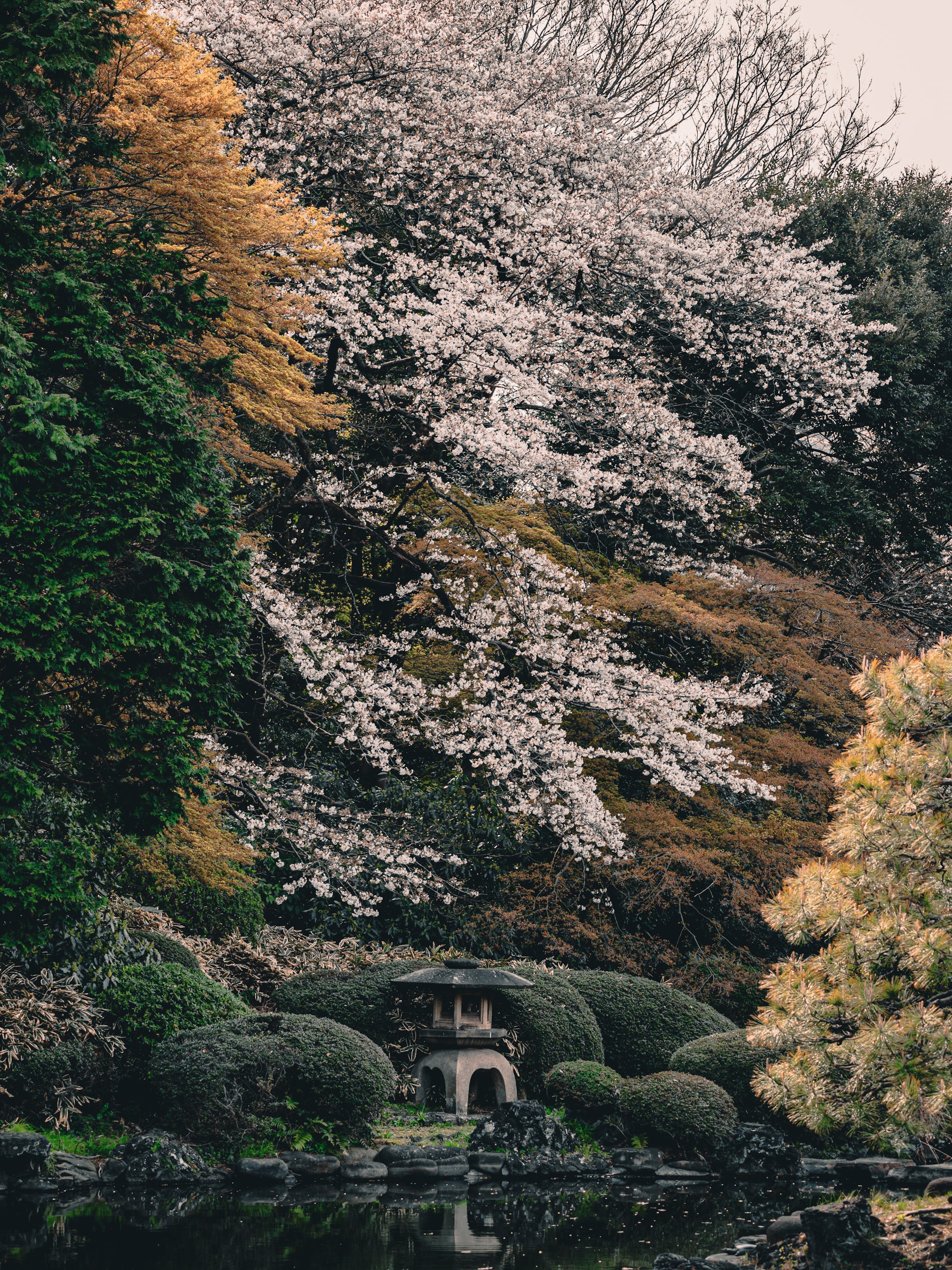 Solace