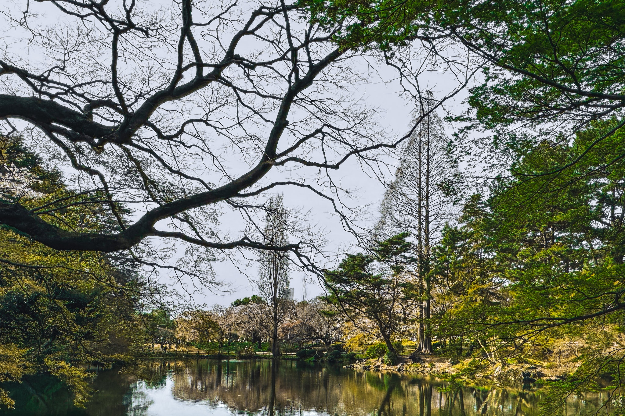 Shinjuku Gyoen