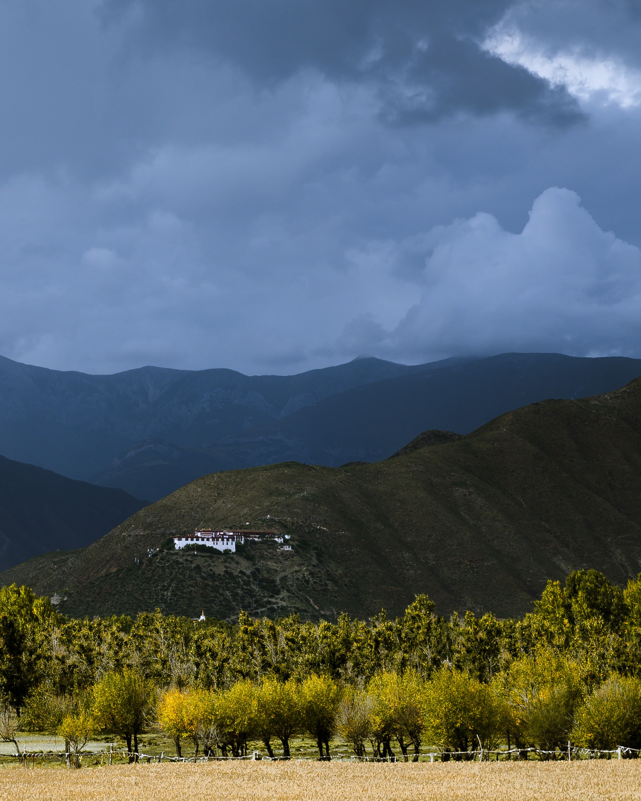 Sanctuary in the storm