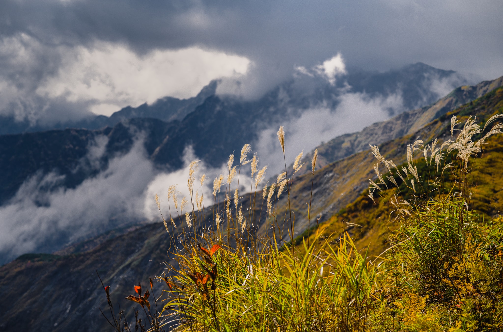 Whispers of the heights